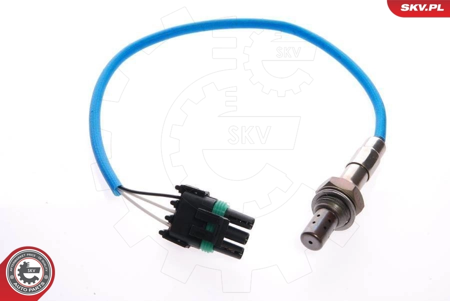 Oxygen Sensor